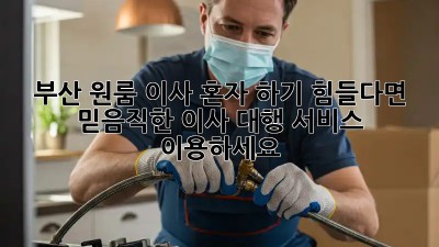 부산 원룸 이사, 혼자 하기 힘들다면? 믿음직한 이사 대행 서비스 이용하세요!