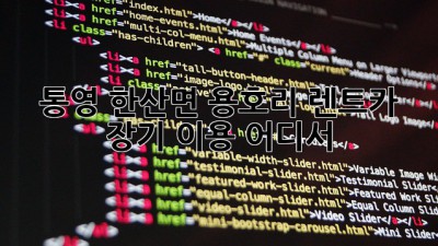 통영 한산면 용호리 렌트카 장기 이용, 어디서?