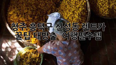 청주 흥덕구 신성동 렌트카 꿀팁 대방출! 🚗💨 #여행필수템